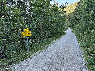 ...kommen wir zum Abzweig Richtung Blasialm