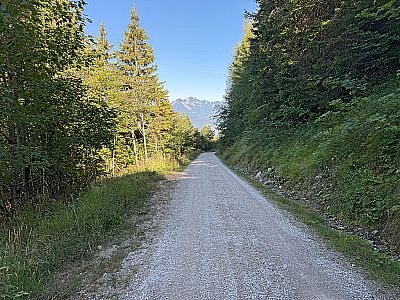 Wir bleiben am breiten Weg...