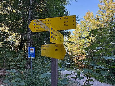 ...treffen wir auf den Weg von der Blaisalm