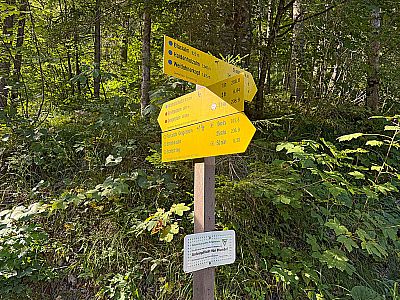 ...und kehren zum Anstiegsweg zurück
