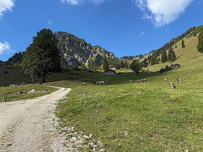Wir wandern auf den Breitenstein zu...