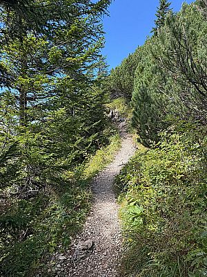 ...wandern wir durch die Latschengassen...