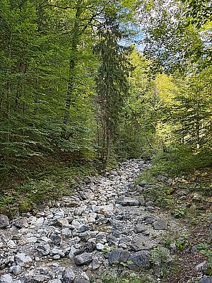 Wir überqueren den Schneiderhanggraben...