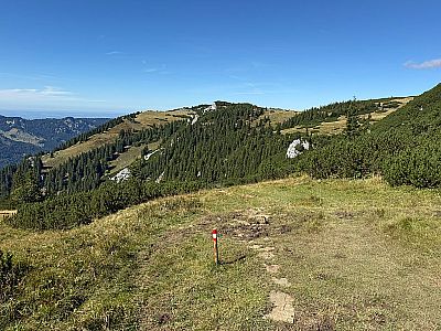 Über das Wiesengelände wandern wir leicht bergab