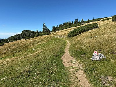 Im sanften Almgelände wandern wir hinauf...