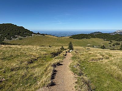 ...zu einem Wiesenrücke