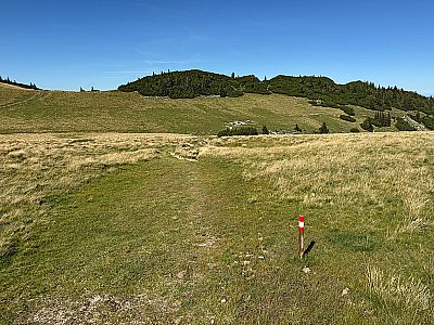 ...folgen wir dem Wiesenweg nordwärts
