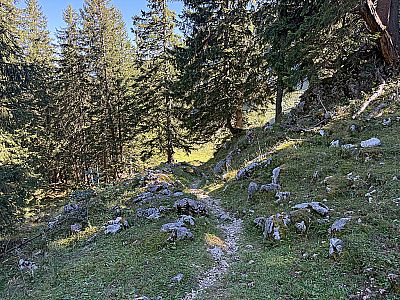 Ein steiniger Weg leitet uns hinunter...