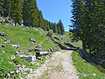 Wir folgen ein kurzes Stück einem Karrenweg