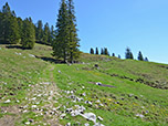 Nun folgen wir einem Wiesenweg bergauf