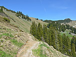 Nach dem Anstieg wandern wir leicht bergab Richtung Sulzingalm