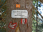 Zurück am Abzweig zur Priener Hütte