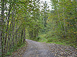 Durch dichten Bergwald...