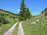 Wir folgen weiter dem Karrenweg...