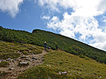 Der Weg leitet uns in die latschenbewachsene Gipfelflanke hinein