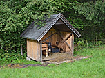 Schafe bei der Riederalm