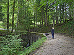 Durch lichten Wald...