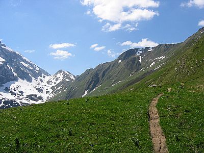 Hinten links der Öfakopf