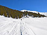 Über kuppiges Gelände steuern wir auf einen Zirbenwald zu