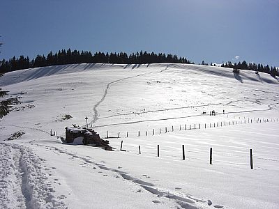 Die Gindelalmschneid