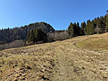 Über einen Wiesenhang wandern wir aufwärts...