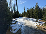 ...bringt uns zum Auer Berg