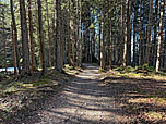 ...und durch schattigen Bergwald...