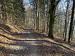 Zu guter Letzt mündet unser Weg in einen breiten Forstweg