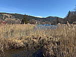 Blick über den See zum Schliersberg