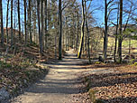 Wir wandern durch ein Waldstück...