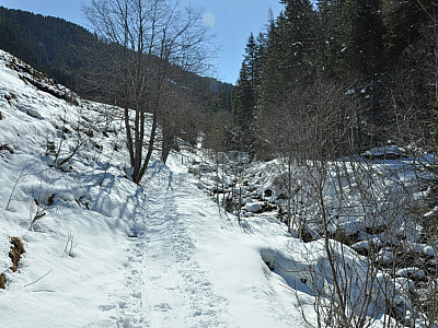 ...aber schon bald wird der Schnee neben dem Lizumbach mehr