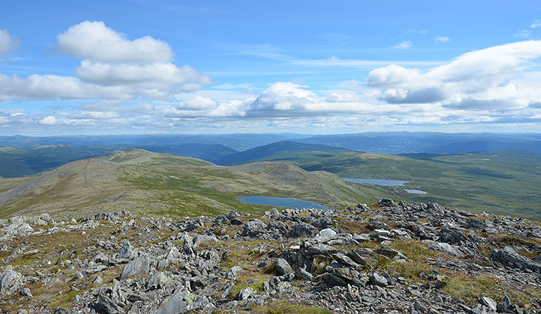Gråhøa (1430 m)