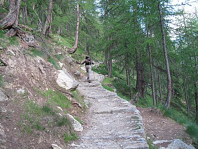 ...und bergauf durch lichten Wald