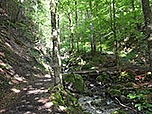 Nach der Lichtung wandern wir in den Nesselauer Graben hinein