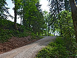 ...leitet uns der Weg in zwei Kehren hinauf...