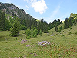 Nach der Alm halten wir unsere Grundrichtung bei...
