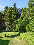 Im Anschluss folgen wir einem Wiesenpfad...