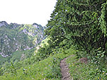 Vom Sattel folgen wir dem Kammverlauf westwärts