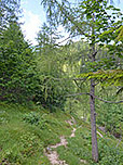 ...steigen wir ins Tal des Thoraubachs ab