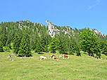 Blick zur Bogn Nosn