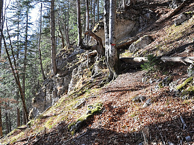 schnell an Höhe und..