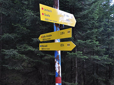 an der Riedbergscharte.