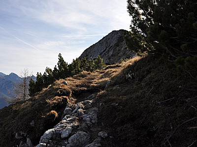Wir folgen dem Pfad auf den Riedberg