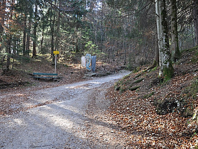 Wir verlassen am Wegweiser den Forstweg