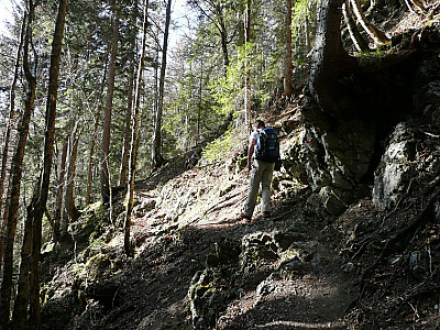 gewinnen wir auf dem Pfad...