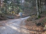 Wir verlassen am Wegweiser den Forstweg