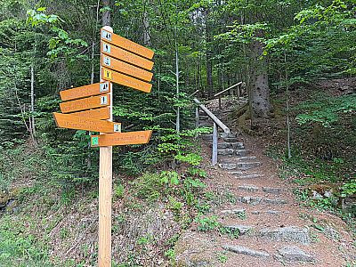 Unsere Wanderung zur Großen Kanzel...