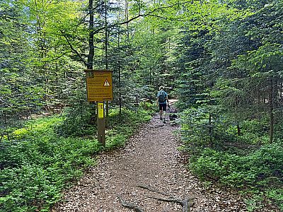 ...Richtung Schönbrunn und Felswandergebiet ab