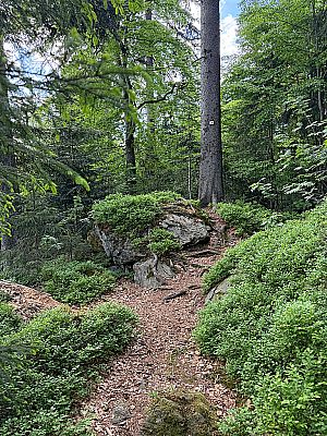 An den Felsen erreichen wir den höchsten Punkt der Wanderung...