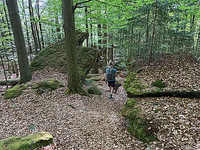 ...zügig an Höhenmeter